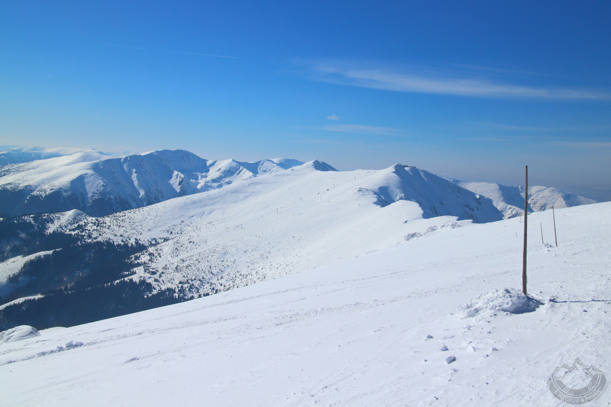 IMG_7003_yk